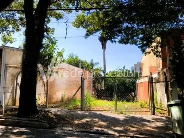Imagem: Terreno - Cambuí - Campinas