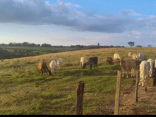 Imagem: Sítio a Venda na Região de São Pedro