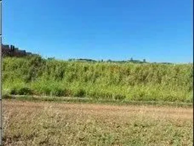 Imagem: Oportunidade Única em Tambau - Sp Tipo