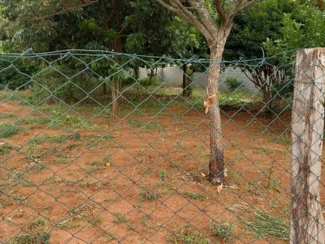 Imagem: Vendo Chácara nos Pires de Cima com Água