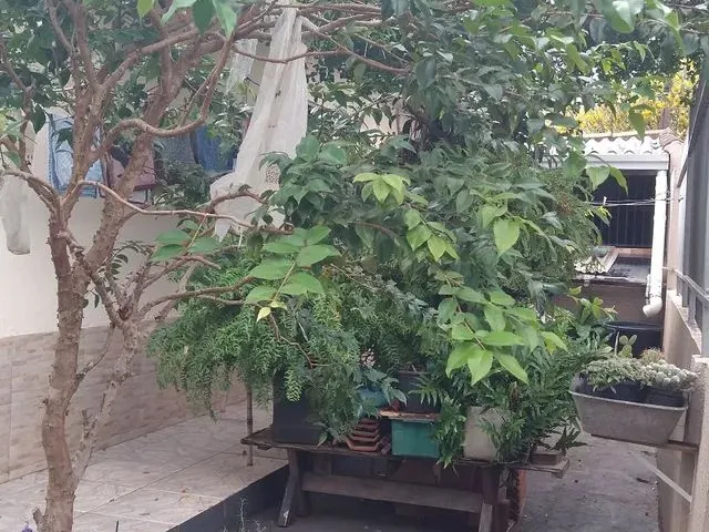Imagem 3: Casa Jardim Alvorada, Esquina (2 Casas no Terreno),R$ 500.000,00