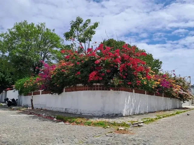 Imagem: Casa com 3 Quartos- 1 Suíte, Lajeada, Próximo