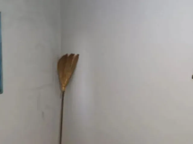 Imagem 7: Casa com Terreno Amplo 384,18 M2 Pr - Borrazópolis