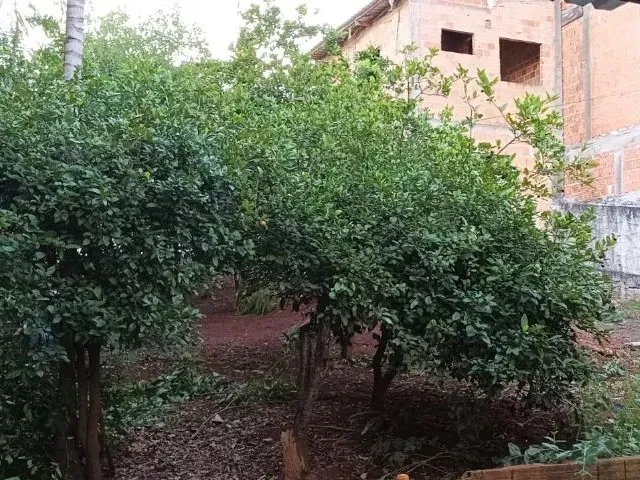 Imagem 13: Casa com Terreno Amplo 384,18 M2 Pr - Borrazópolis