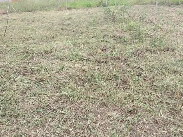 Imagem: Terreno Marataizes 10X20 30Mil