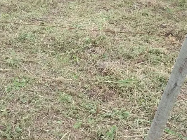 Imagem 4: Terreno Marataizes 10X20 30Mil
