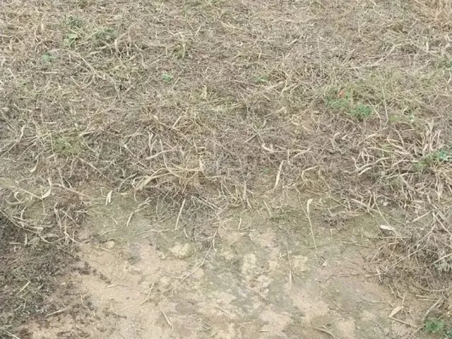 Imagem 3: Terreno Marataizes 10X20 30Mil