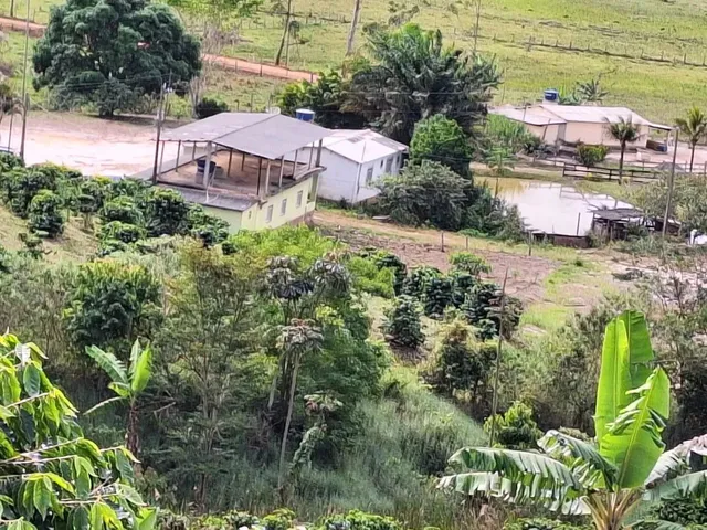 Imagem: Fazenda/Sítio/Chácara para Venda Possui