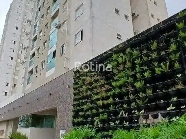 Imagem: Apartamento para Alugar, 2 Quartos, Granja