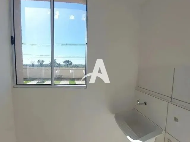 Imagem 4: Aluguel Apartamento Panorama
