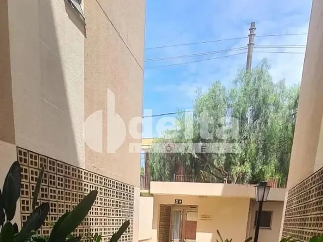 Imagem: Apartamento com 3 Quartos, Disponível para