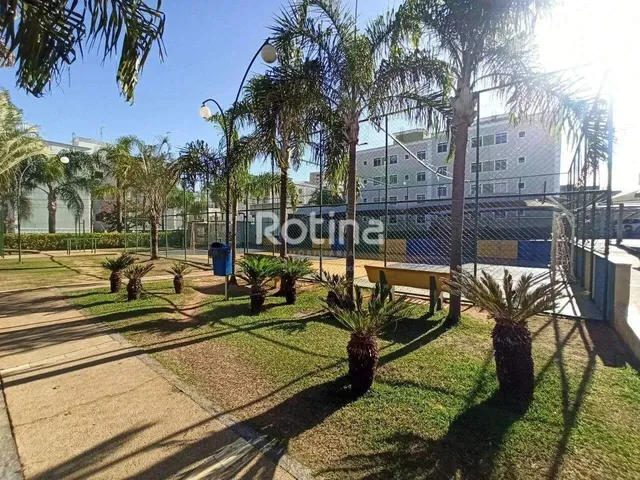 Imagem 11: Apartamento para Alugar, 2 Quartos, Shopping Park - Uberlândia/Mg - Rotina Imobiliária