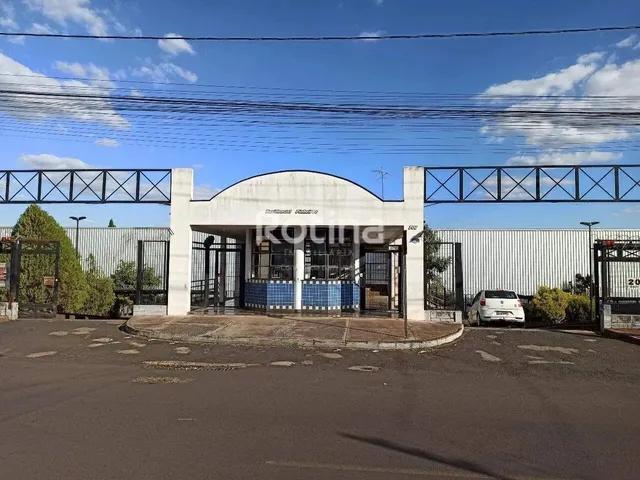 Imagem: Apartamento para Alugar, 3 Quartos, Presidente