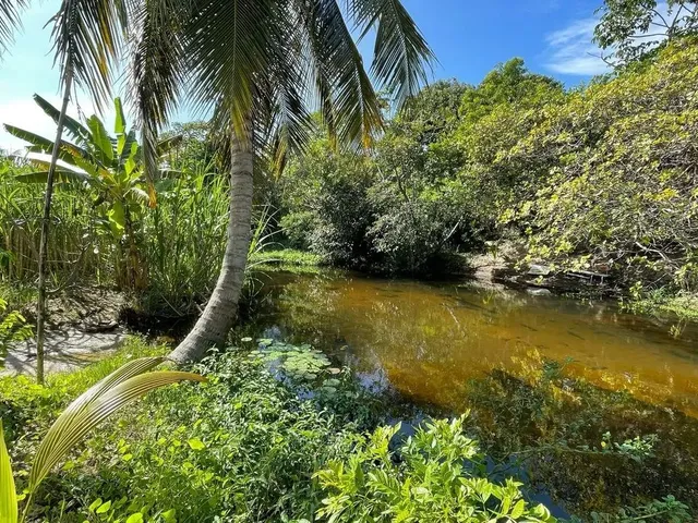 Imagem 2: Sítio Estrada de Genipabu Venda Ou Troca