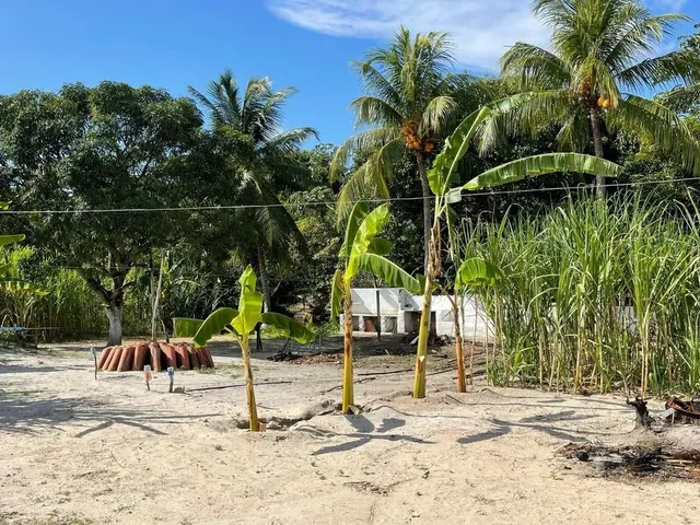 Imagem 7: Sítio Estrada de Genipabu Venda Ou Troca