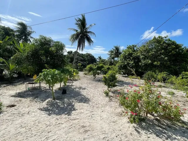 Imagem 10: Sítio Estrada de Genipabu Venda Ou Troca