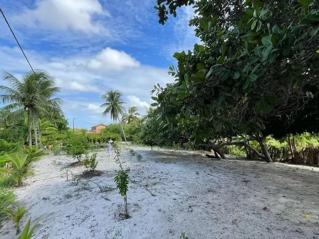 Imagem 13: Sítio Estrada de Genipabu Venda Ou Troca