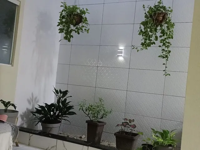 Imagem: Exatamente Casa em Rosa dos Ventos