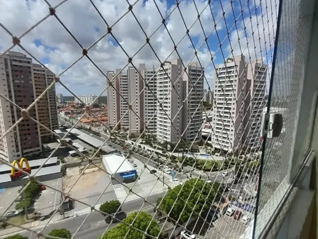 Imagem 11: .