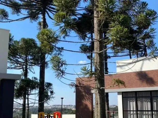Imagem 15: Casa Nova de 3 Suítes e 238 M2 Privativos com 4 Vagas e Toda Automatizada em Condomínio