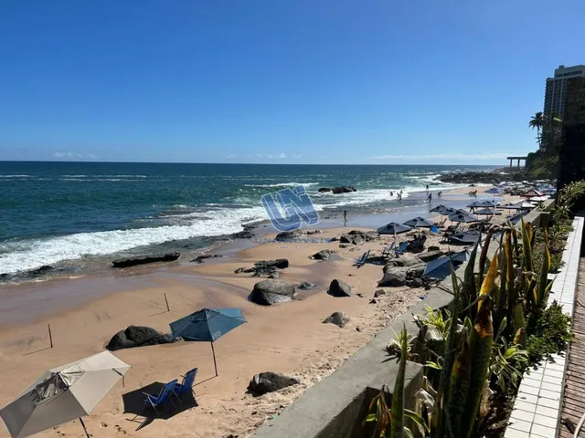 Imagem 7: Apartamento Duplex 5 Quartos Sendo 4 Suítes 564M2 no Rio Vermelho