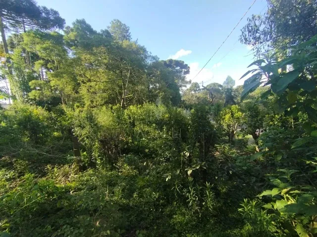Imagem 4: Ótima Casa com 2 Dormitórios À Venda, Dorizon , Mallet - Pr