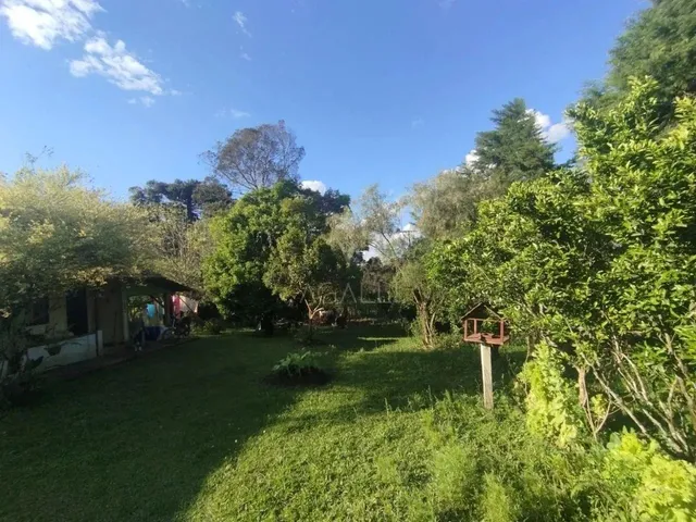 Imagem 5: Ótima Casa com 2 Dormitórios À Venda, Dorizon , Mallet - Pr