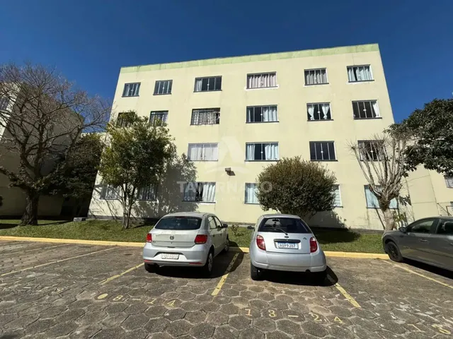 Imagem: Apartamento Padrão em Ponta Grossa