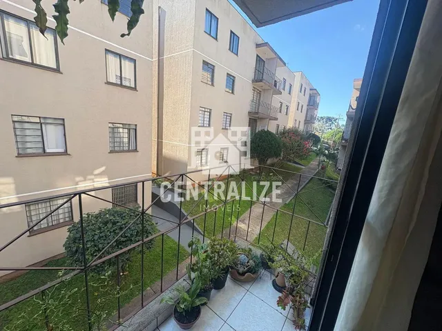 Imagem 8: Venda - Apartamento Antares - Centro - Ponta Grossa - Pr
