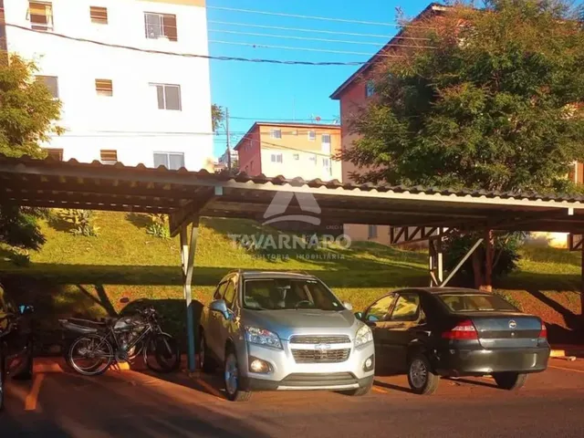 Imagem 13: Apartamento Térreo Vila Estrela