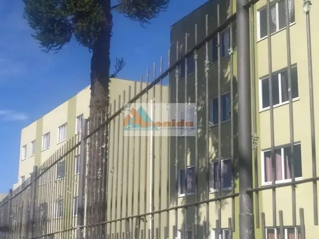 Imagem: Lindo Apartamento Todo Reformado no Acacia