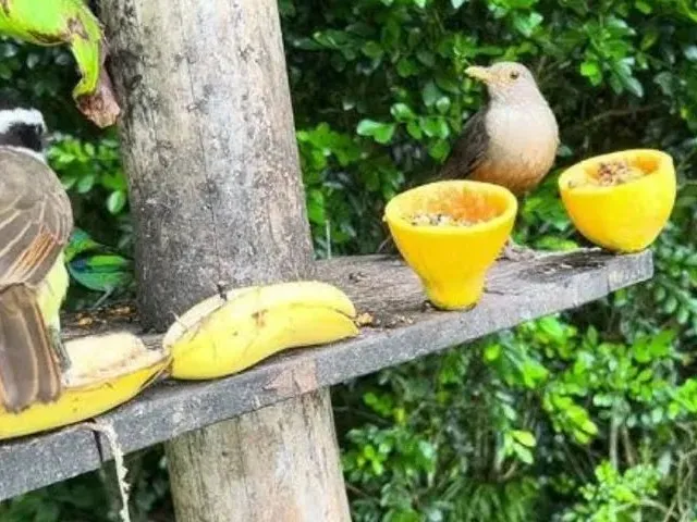 Imagem 3: Chalés em Localização Privilegiada! (Promoção para Réveillon e Carnaval