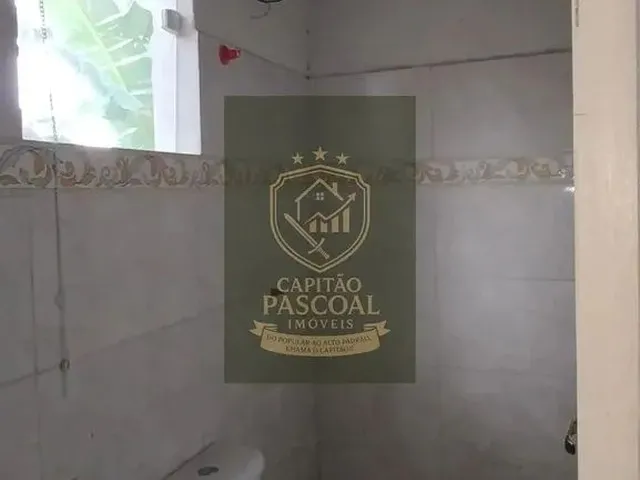 Imagem 6: .