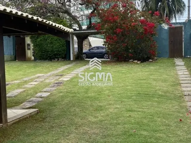 Imagem 3: .