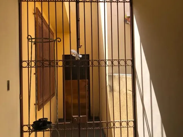 Imagem 12: Casa Linear Próxima Ao Isepam