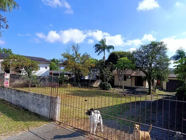 Imagem 1: Oportunidade Unica