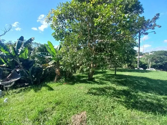 Imagem 10: Quer Morar na Cidade Mas Respirando o Ar do Campo?