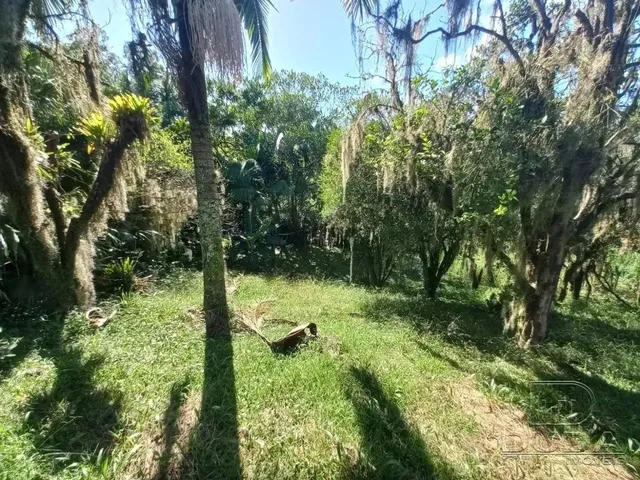 Imagem 9: Quer Morar na Cidade Mas Respirando o Ar do Campo?