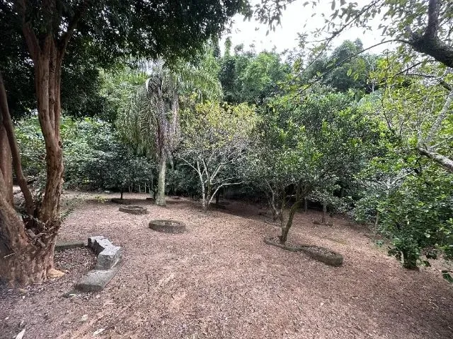 Imagem 13: Casa/Sítio 3 Dorm com Piscina Bem Próximo Ao Centro de Criciúma Aceita Permuta