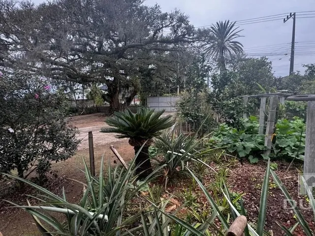 Imagem 4: Venda Casa, Terreno Rural em Imaruí/ Sc