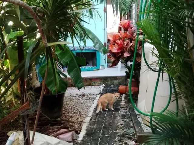 Imagem: Casa 2/4 em Ipitanga Lauro de Freitas