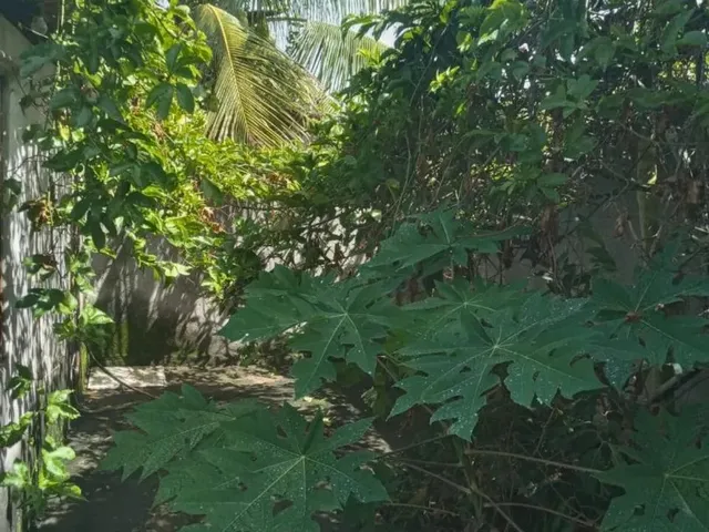 Imagem 4: Vendo - Casa Serrinha -Ba
