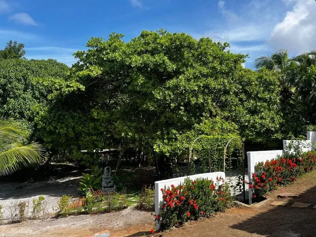 Imagem 7: Cód. 8025 Barra de Jacuípe Casa com 3 Suítes Perto do Mar com 5 Vagas