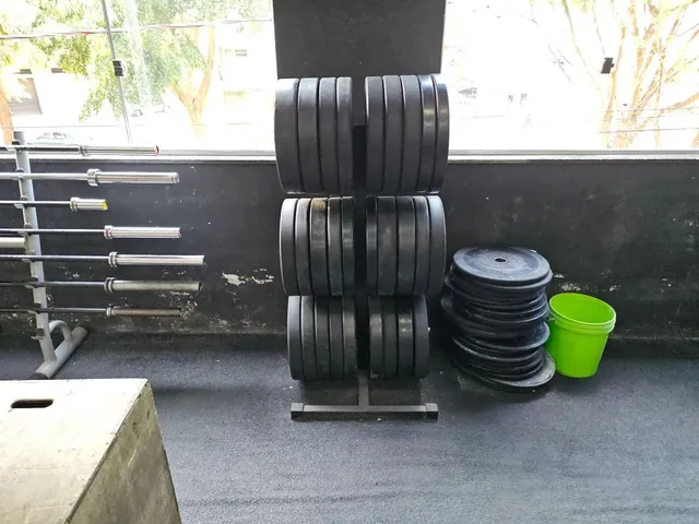 Imagem 9: Vendo Equipamentos de Crossfit Tudo Ou Separado