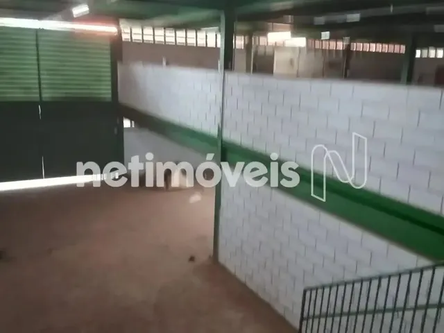Imagem 2: Excelente Galpão em Localização Privilegiada!
