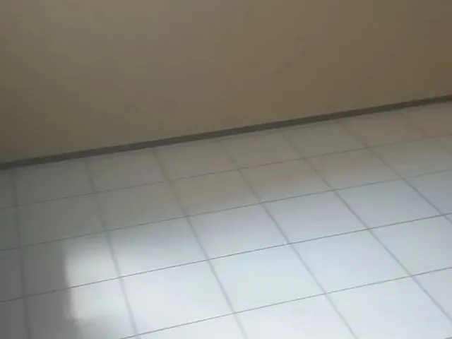 Imagem 4: Apto com Dois Quartos - Caucaia - 54M²