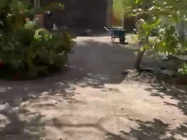 Imagem 2: Vendo Casa no Parque Soledade