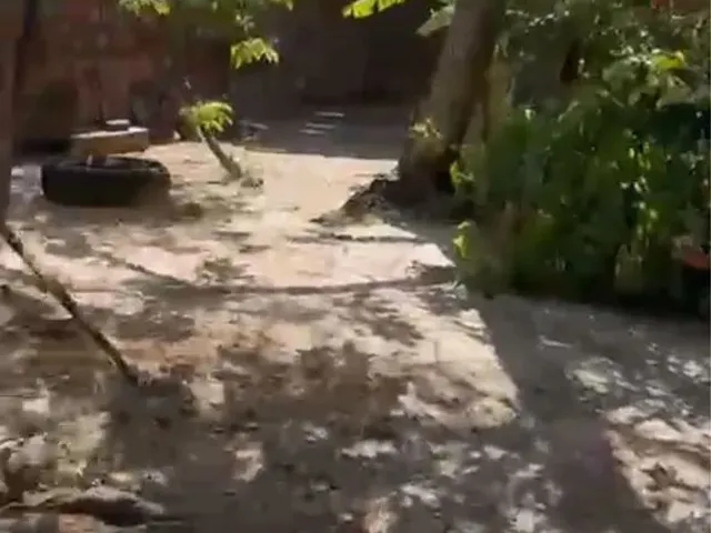Imagem 7: Vendo Casa no Parque Soledade