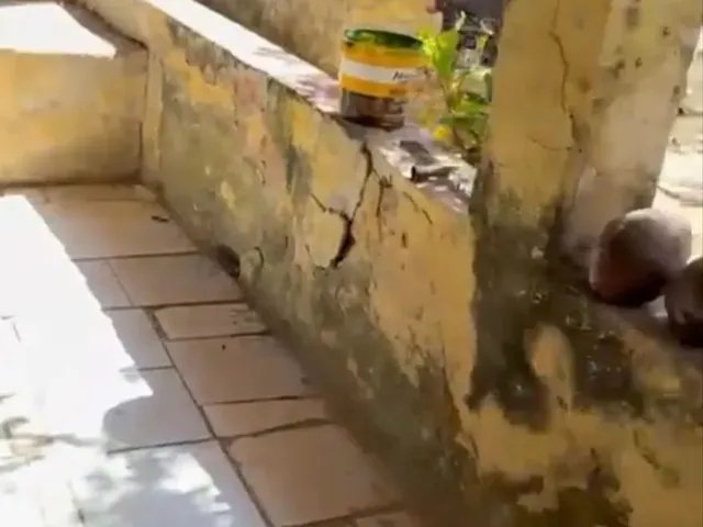 Imagem 9: Vendo Casa no Parque Soledade