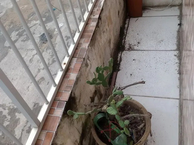 Imagem 2: Casa Duplex pra Vender Ou Trocar!